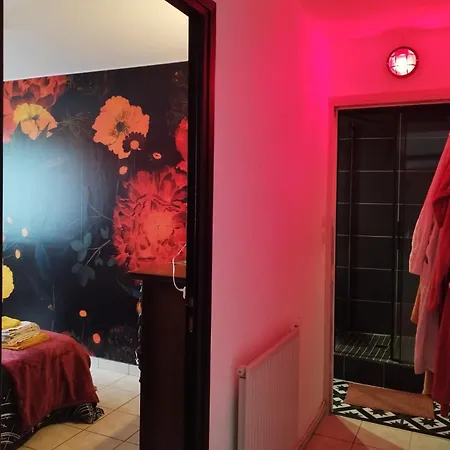 Homestay szállás Calme Centre-ville Confort *