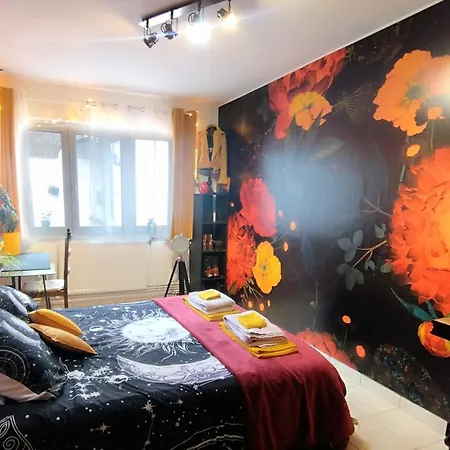 Calme Centre-ville Confort *